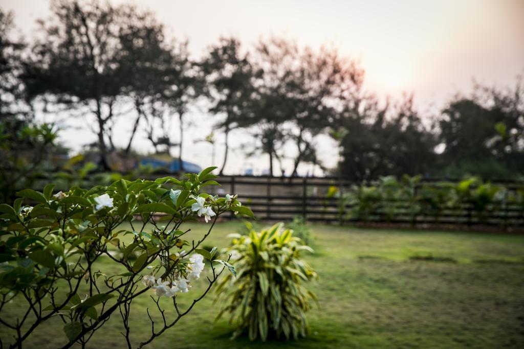 Casa Cubo By The Beach Bed & Breakfast 3*