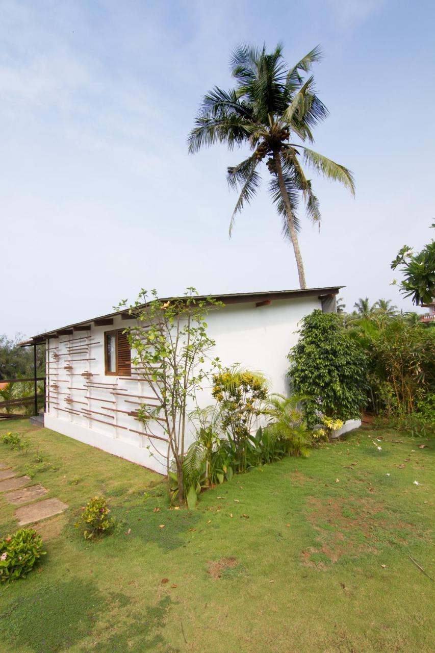 Casa Cubo By The Beach Bed & Breakfast